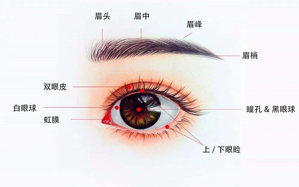 准分子手术用眼罩，保护眼睛的重要工具