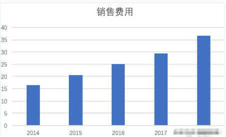 雪糕产品，从制作到市场趋势的全方位解析