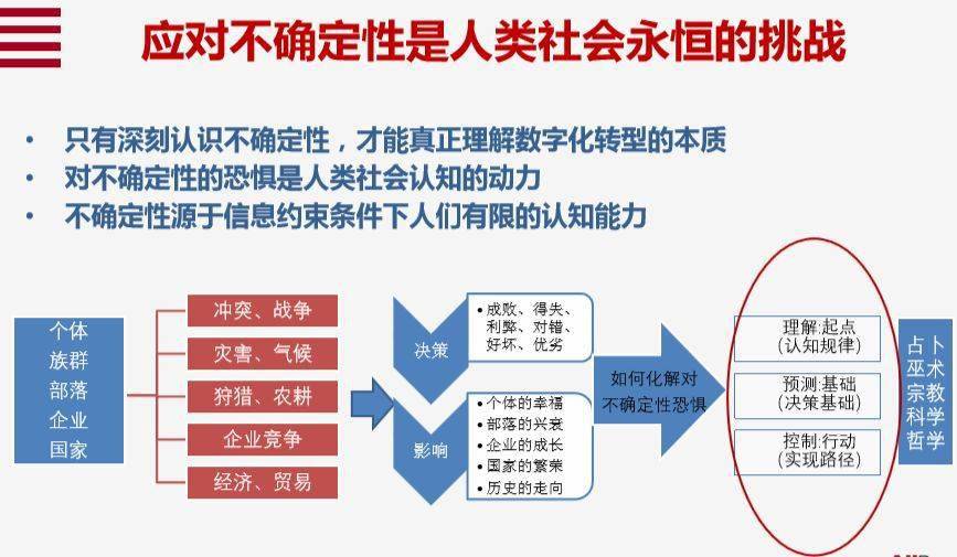 探究莫顿模型，理解复杂系统的关键工具