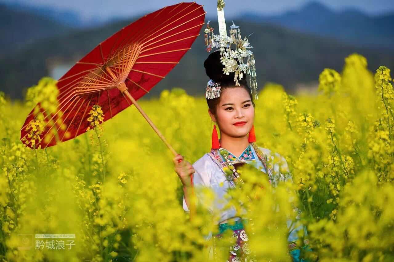 黔东南小香鸡的种类及其独特魅力