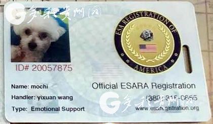 坐飞机临时身份证可以吗？解读乘机证件规定与应对策略