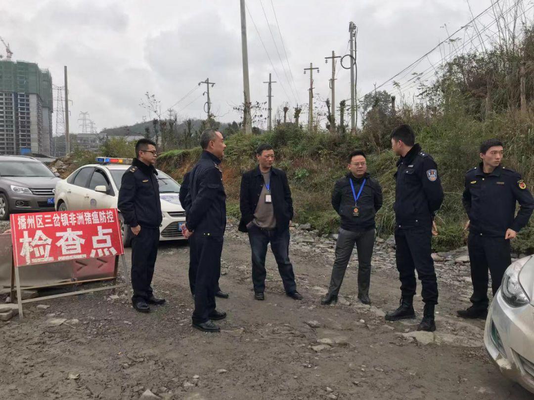 非洲猪瘟疫情下的分类与防控策略