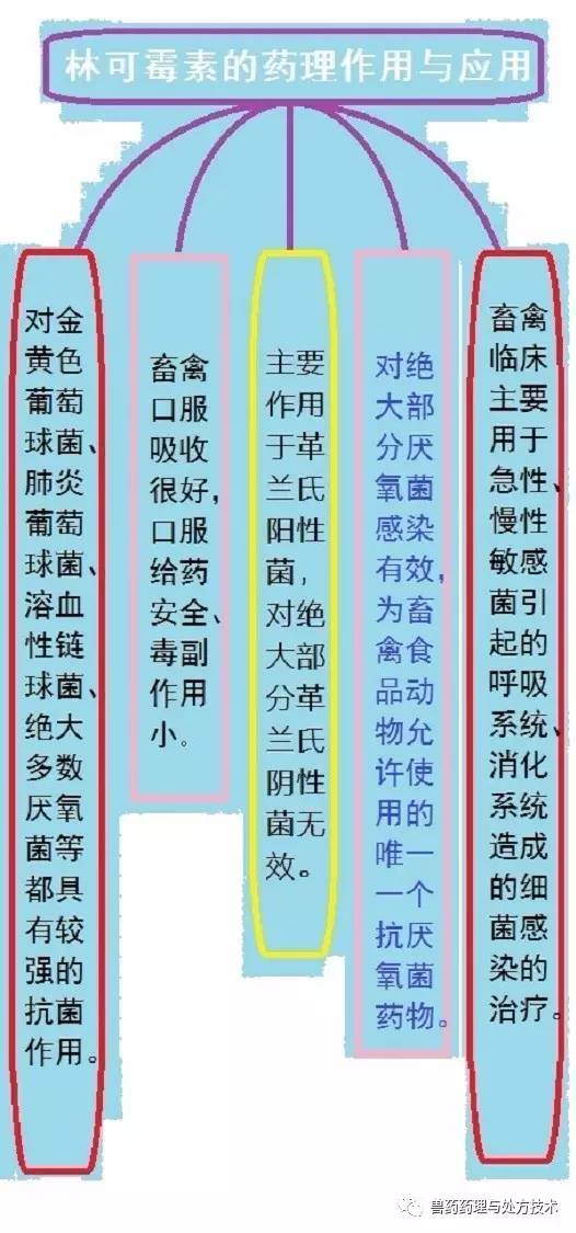 兽药种类及其概述
