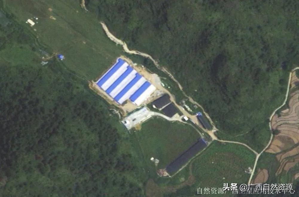 男人与鸡的种类，探索一种多元的视角