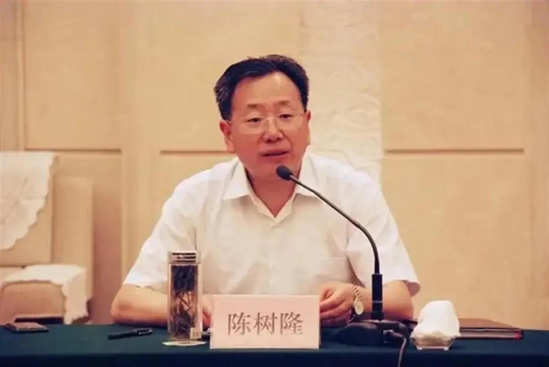 挪用公款后利益分割，道德、法律与责任的交织