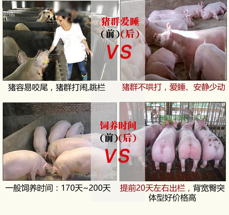 猪肉添加剂种类及其作用
