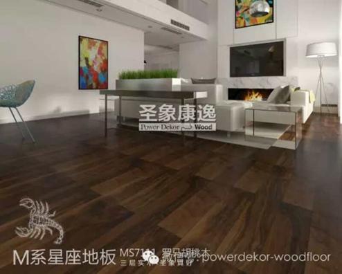 圣象GT9182效果图，探索地板美学的无限可能