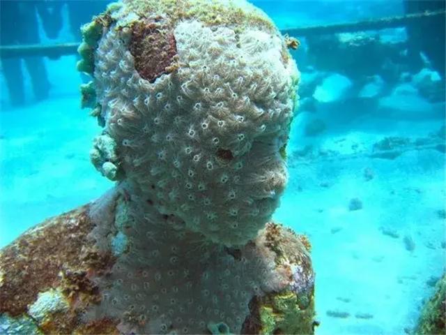 河螺种类大全，探寻神秘的水下生物世界