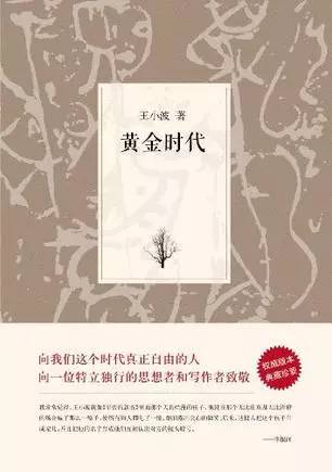 黄金时代小说完整版，一场文学盛宴的呈现
