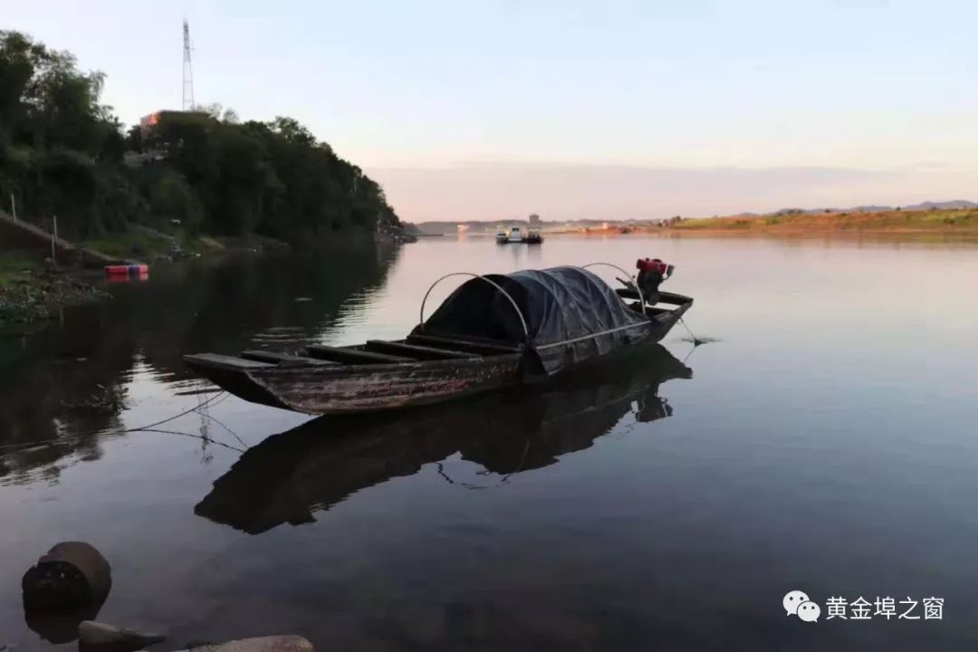 黄金埠命案，悲剧背后的深思