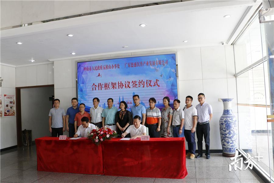 种植商标图案，品牌建设的绿色革命