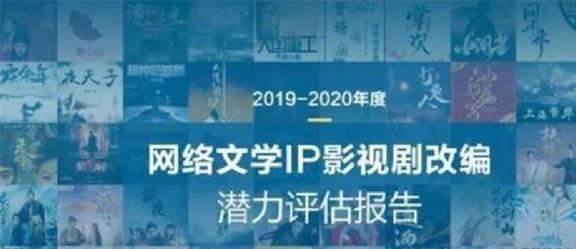 黄金小说网，探索网络文学的新天地