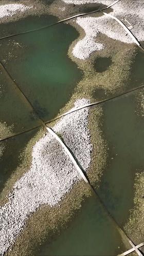 南京长江水位船，探索与观察