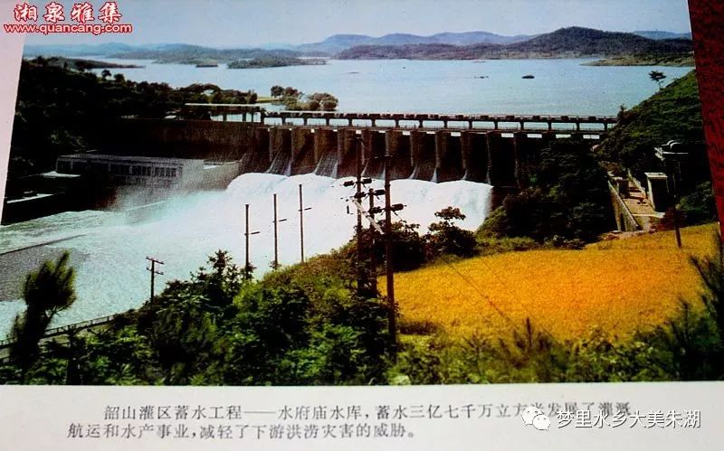 越野跑爱好者的激情与追求