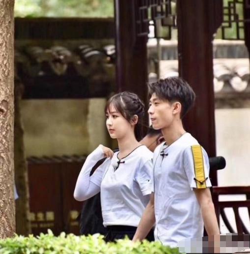 杨紫被赶出剧组，事件背后的真相与反思