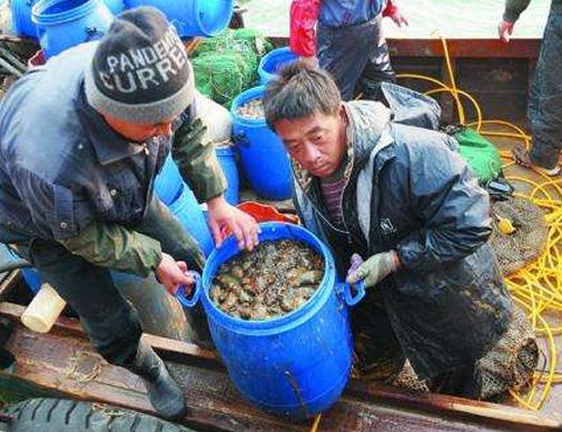 气压底，探究其含义、影响与应用