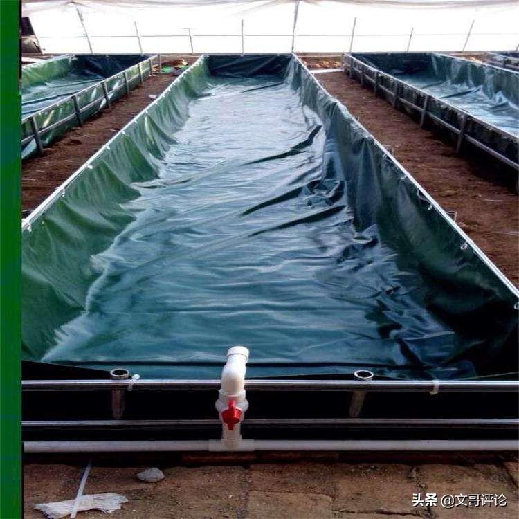 大棚龙虾投资成本深度解析