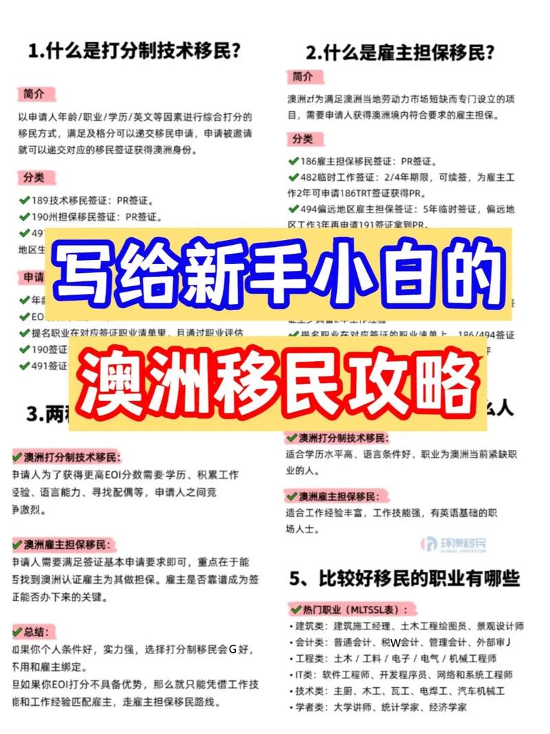 如何办理专业技术移民，步骤与策略