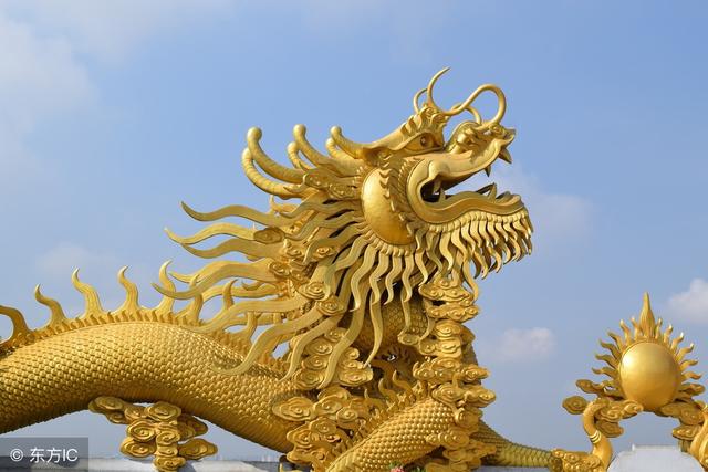 大明星黄金龙，闪耀娱乐圈的璀璨之星