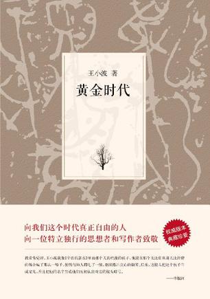 黄金时代小说在线阅读，探索文学的新纪元