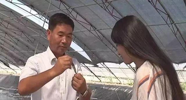 冬季养虾视频大棚，高效养殖的新模式