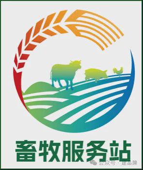 衣架商标图案，设计之美与品牌之力的交融