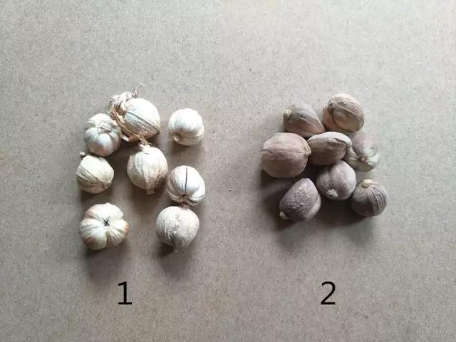 卤菜圆形商标图案，传统与创新的融合