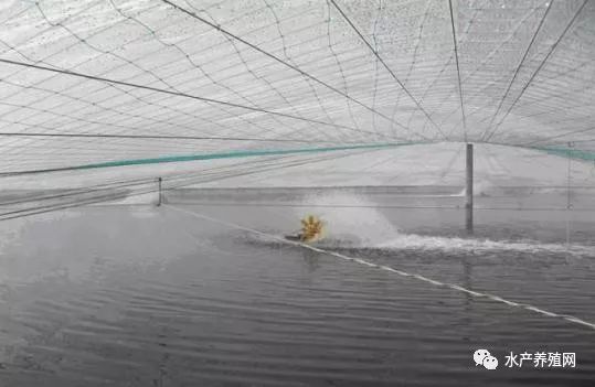 大棚水产养殖，拆还是不拆？