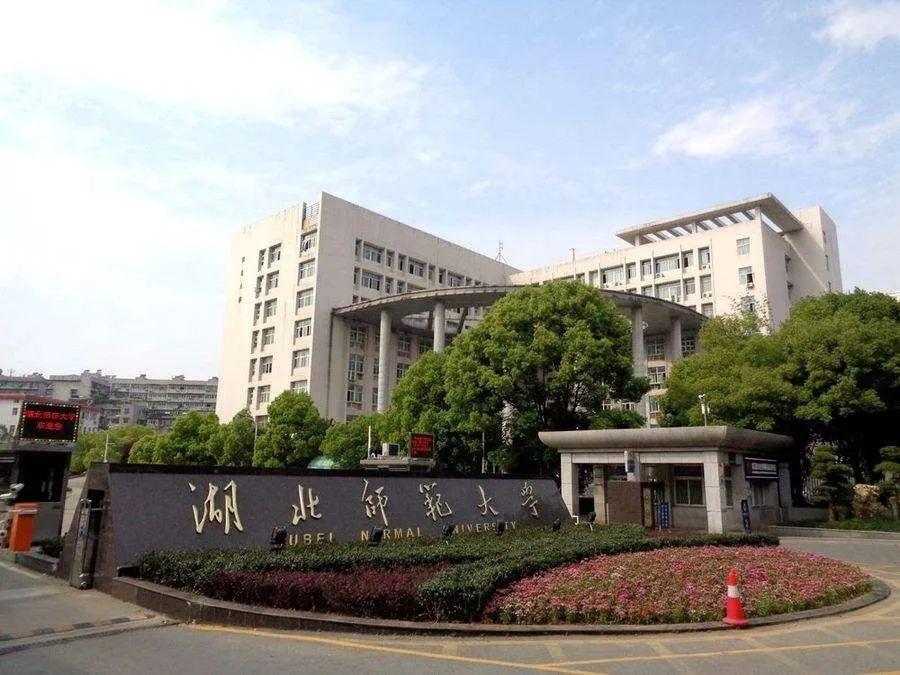 一级团阵容，策略、实力与协同作战的完美结合