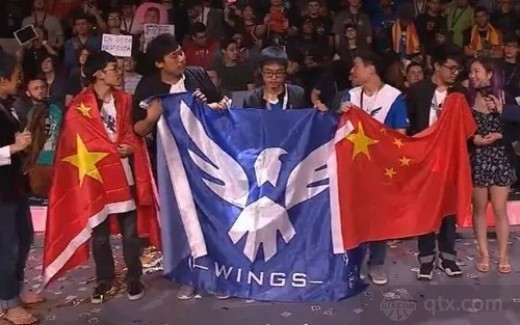 Wings冠军阵容照片，荣耀的瞬间与背后的故事