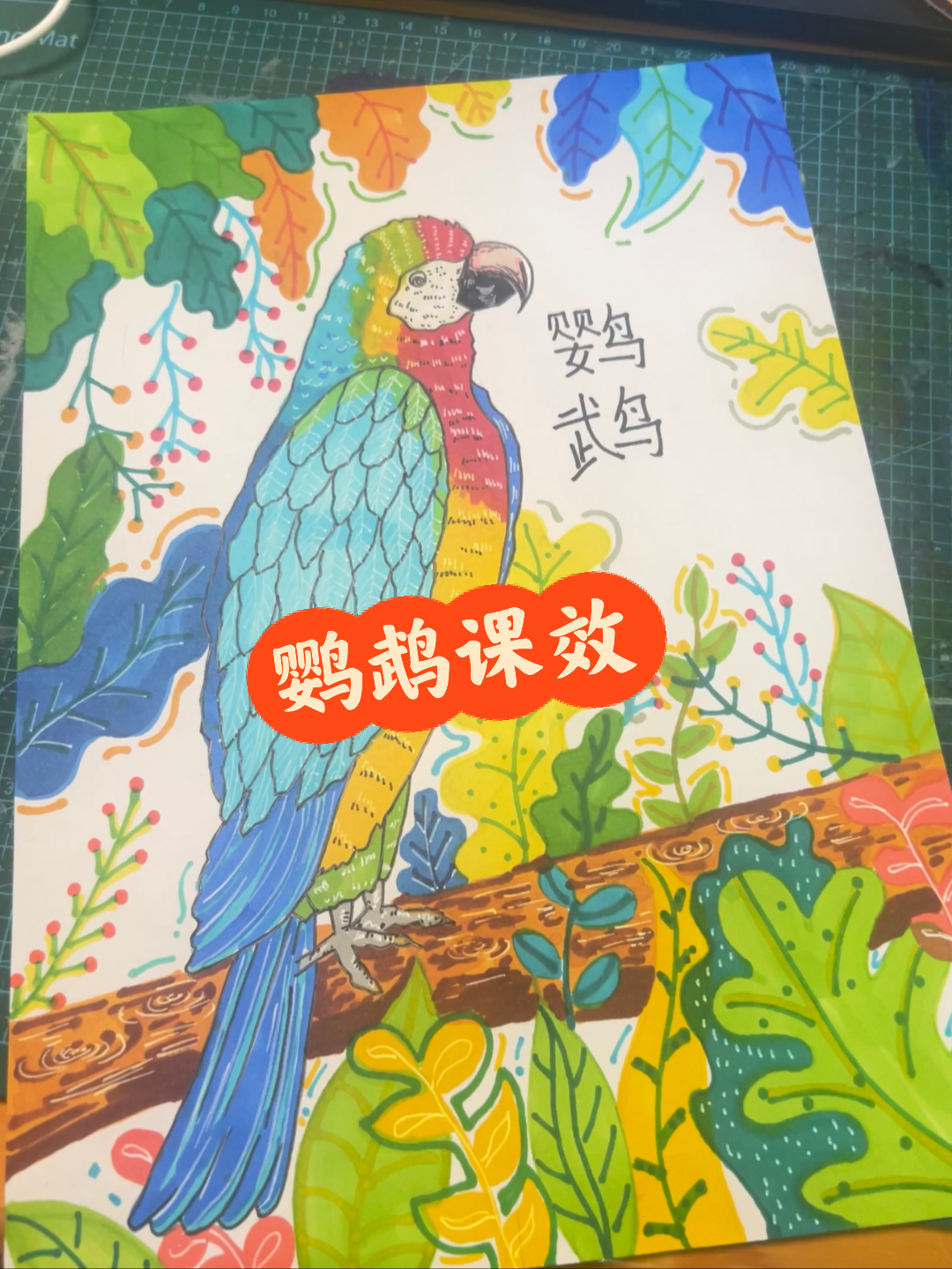 中班鹦鹉美术教案