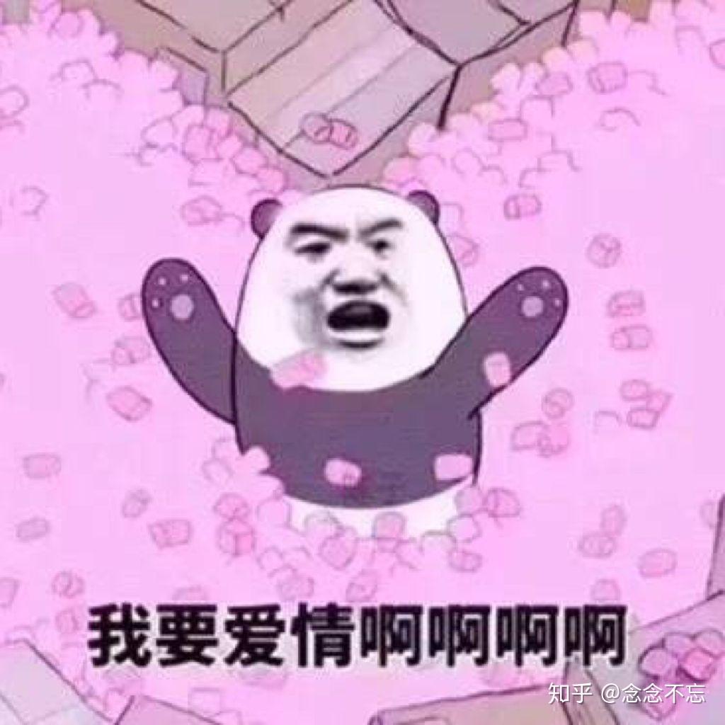 恨妹不成穹，表情包背后的情感与现象解读