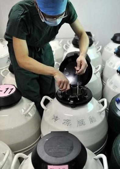 取卵后几天移植，试管婴儿技术中的关键步骤及其时间规划