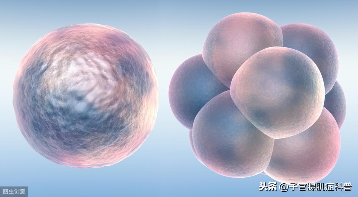 取卵后泻肚，原因、应对与注意事项