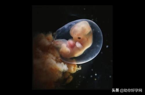 试管取卵与男方取精困难的挑战与解决方案
