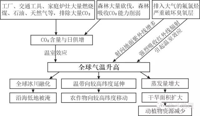 自然周期取卵流程详解