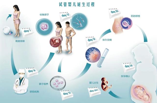关于取卵移植的费用分析
