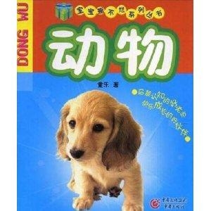 探索斑点狗的故事一本儿童书的魅力