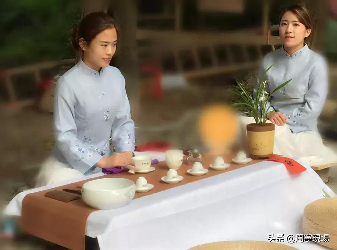茶花经典品种，品味历史与文化的交融之美
