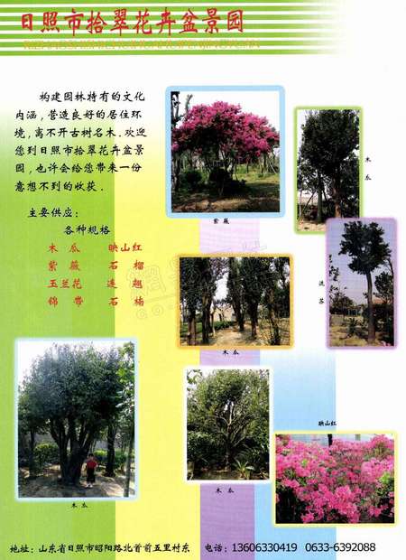 园林花木品种研究之六，多样性与特色分析