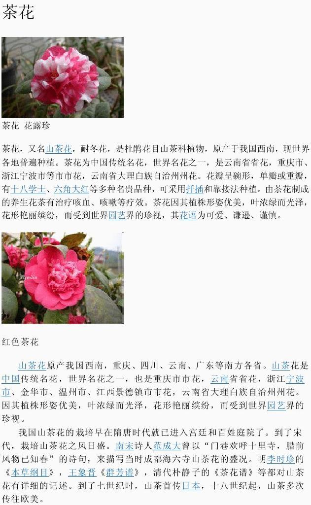 茶花的品种繁多，价格各异——深入了解茶花的世界