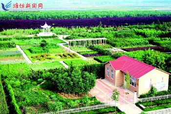 靠山苗木新品种，培育绿色未来的关键所在