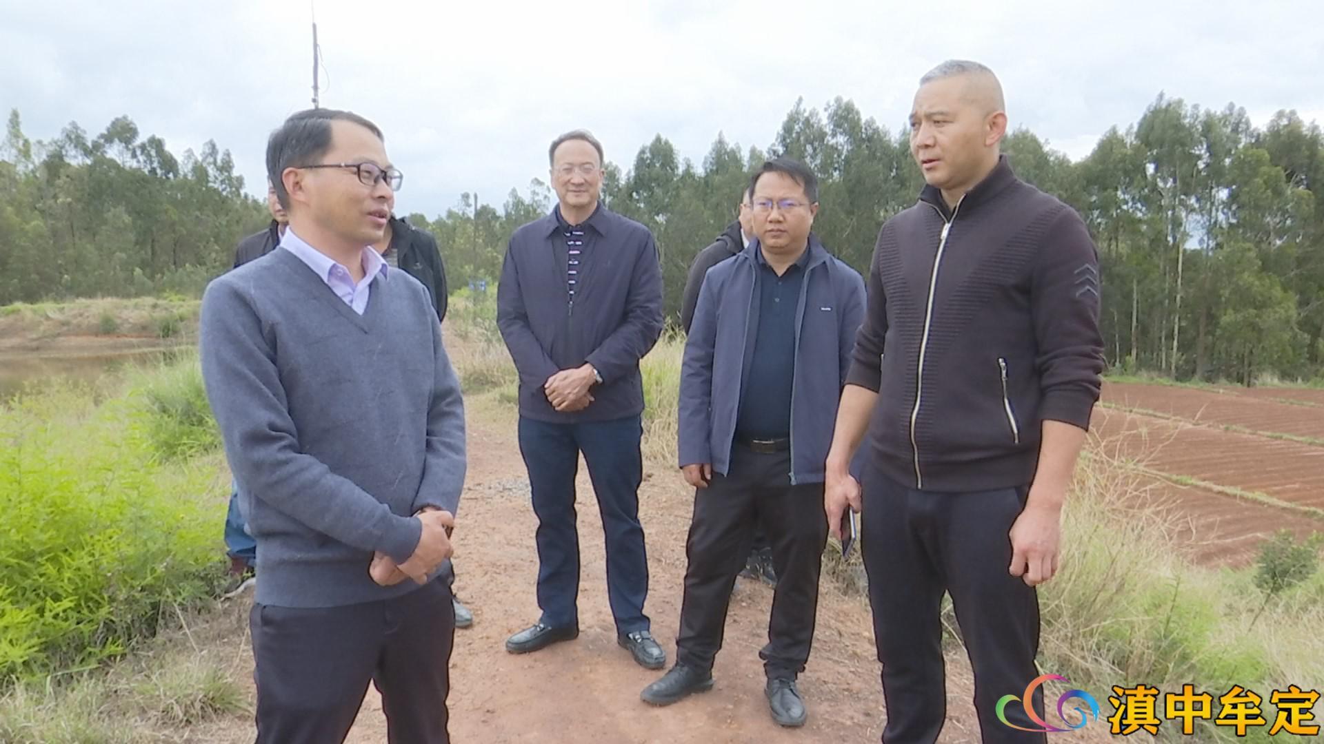 光伏拆迁红头文件，政策解读与影响分析