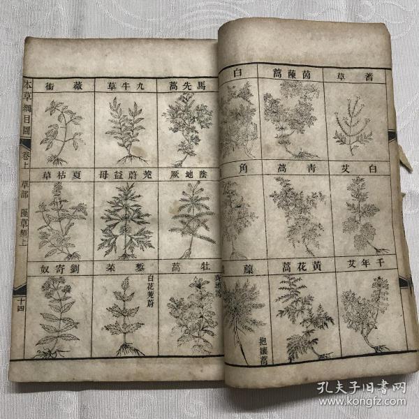 下一本有图的本草纲目
