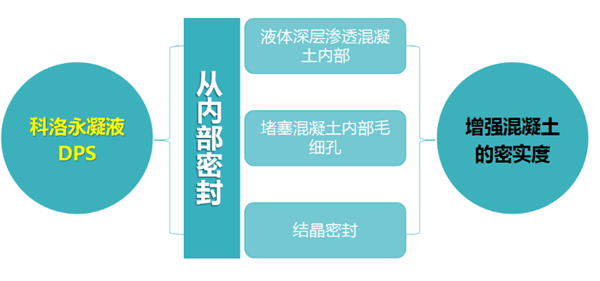 探究D图标在现代社会中的多重意义与影响