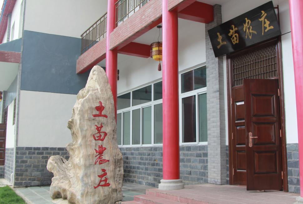 藤花树品种繁多，各具特色，究竟哪个品种更好，需要根据不同的需求和场景来综合考虑。本文将从多个方面介绍藤花树品种的选择，帮助读者了解各种品种的特点和优劣，以便做出明智的选择。