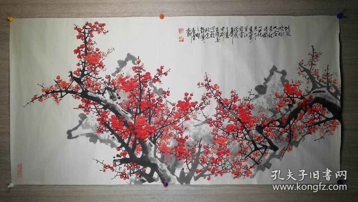 红梅品种名称的魅力与特点