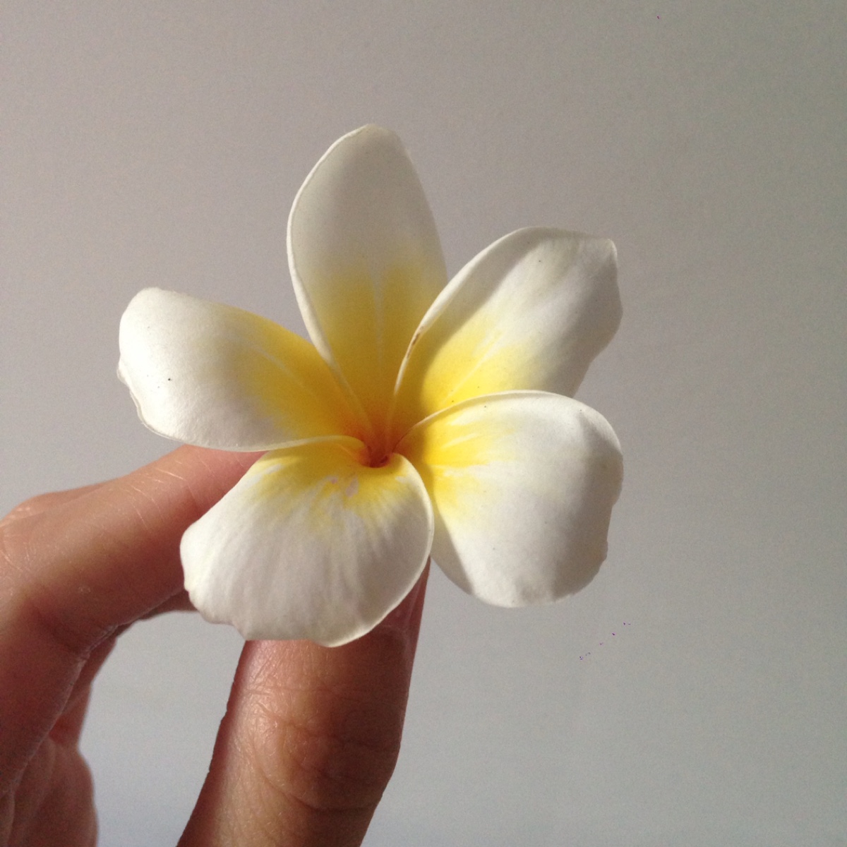 怎样打出完美的鸡蛋花