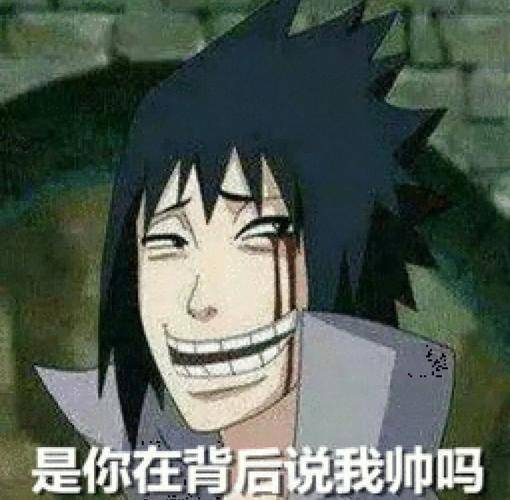 搞笑火影表情包，忍者的另一种风采