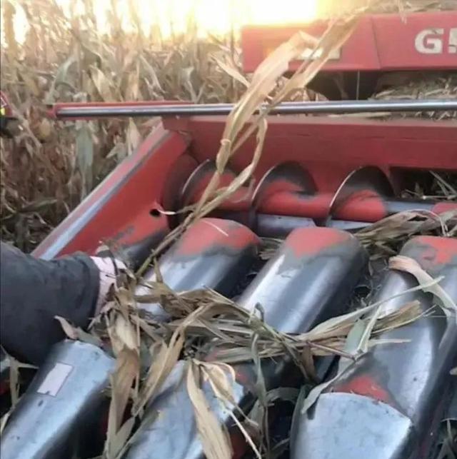 自行车前叉拆解视频教程，一步步深入了解自行车构造